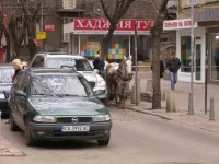 Tato kombinacia nemala chybu : konsky povoz vedla Mercedesu ML a pred nim Astra F pri vzajde z jednej bocnych uliciek na najznamejsiu ulicu v Sofii - Vitosha Bulevard.